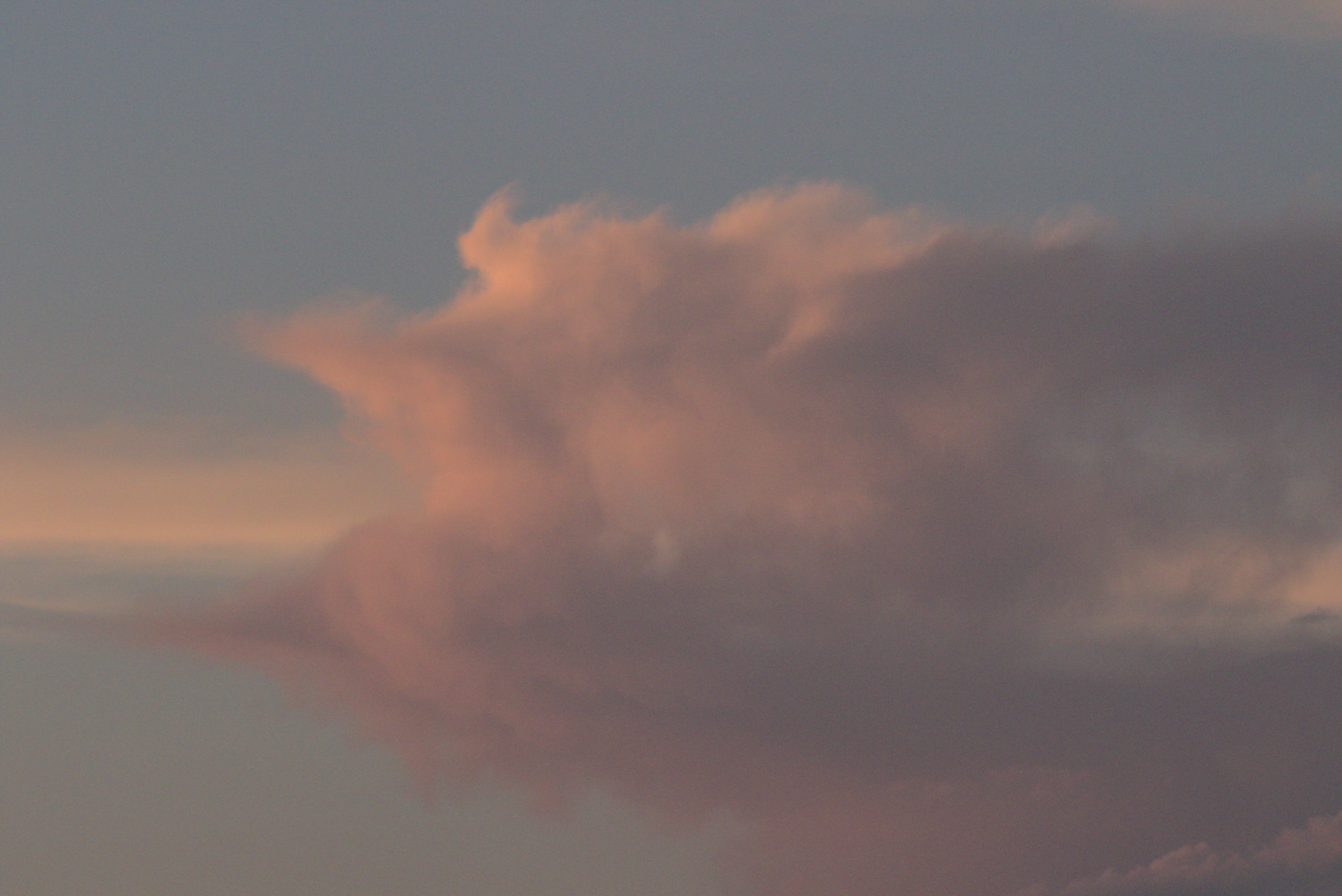 a large cloud in the sunset sky; a sweet cozy study of pink blending into pale blue and gray